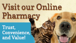 Visit-Pharmacy-Banner-Natural.jpg